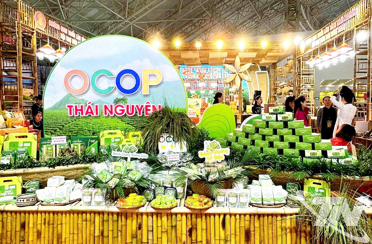 Produk standar OCOP Thai Nguyen selalu sangat dihargai oleh konsumen domestik dan internasional.