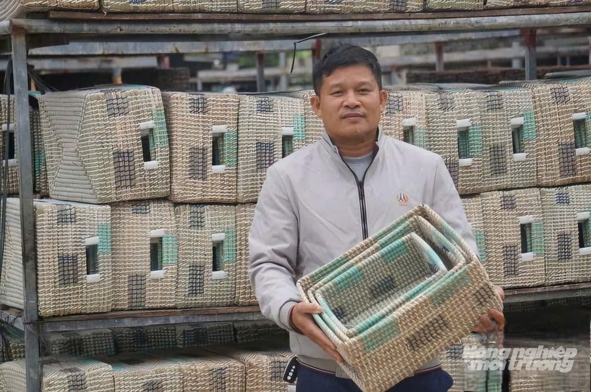 Nhiều sản phẩm cói của doanh nghiệp đã được công nhận OCOP 4 sao, từ rổ cói, bình cắm hoa khô đến đĩa cói và hướng tới OCOP 5 sao. Ảnh: Quốc Toản.