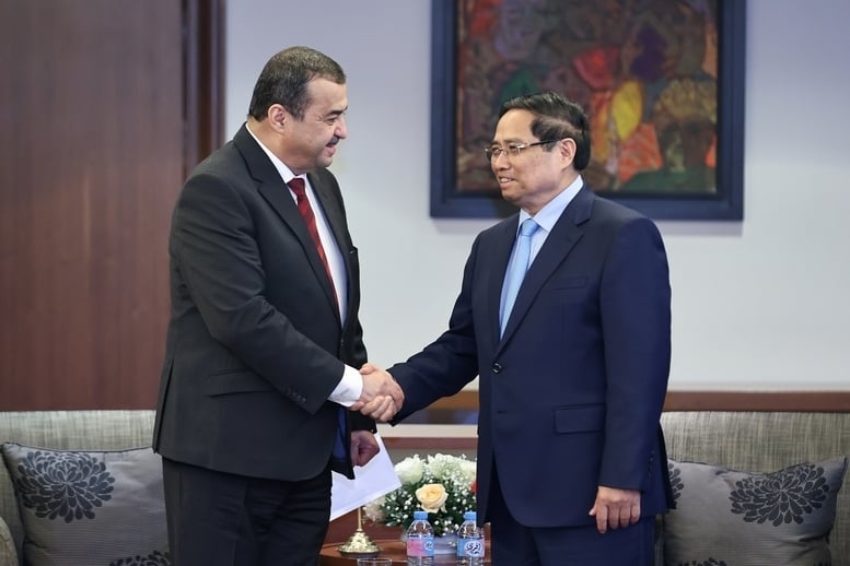 Việt Nam - Algeria đẩy mạnh hợp tác năng lượng mặt trời, điện gió