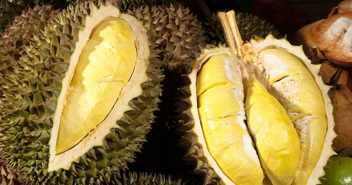 Giá sầu riêng Thái ngày 21/11 vọt lên 115.000 đồng/kg