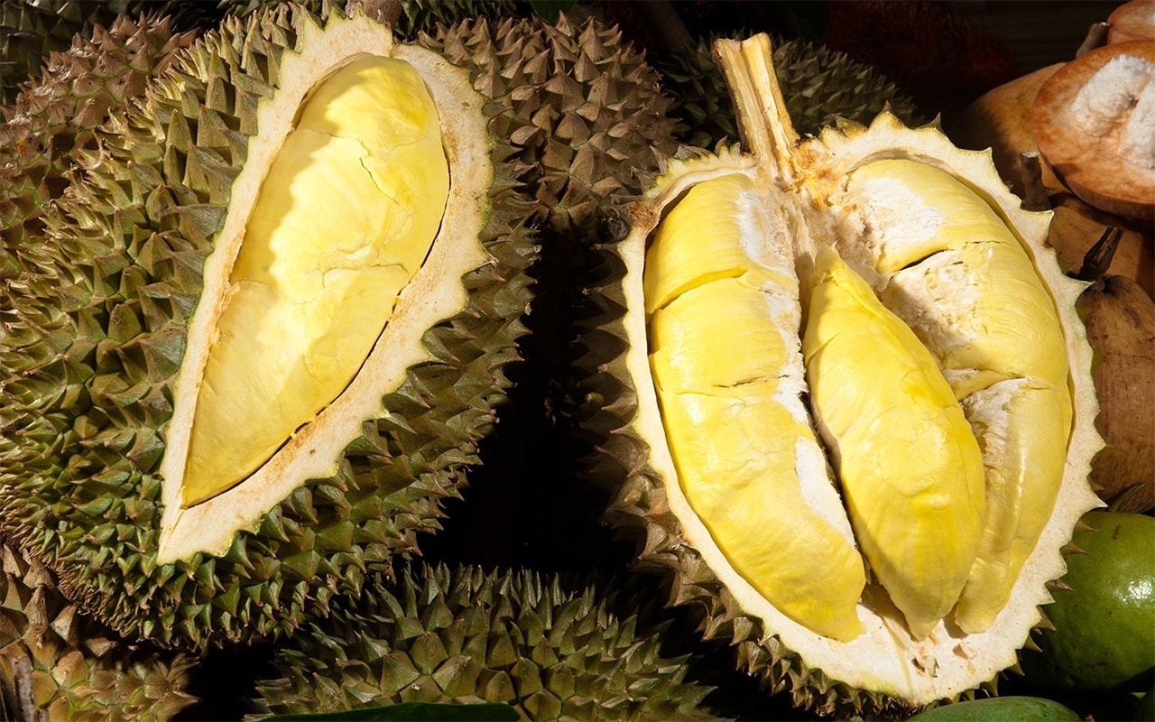 A thai durian ára tovább emelkedik, sok beszerzési raktárban eléri a 115 000 VND/kg-ot.
