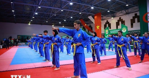 Võ thuật Việt Nam lan tỏa mạnh mẽ tại vùng Bretagne của Pháp