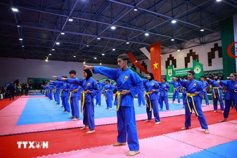 Võ thuật Việt Nam lan tỏa mạnh mẽ tại vùng Bretagne của Pháp - Ảnh 1.