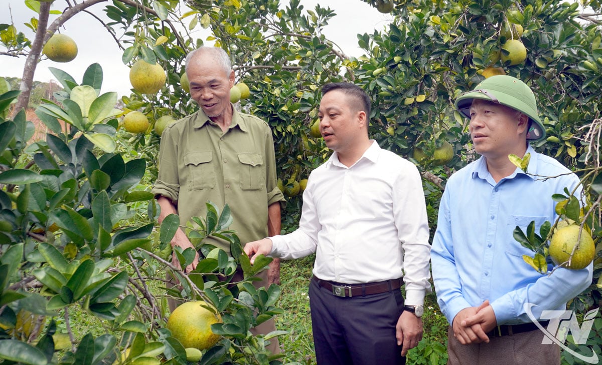 Chuyển biến trong công tác giảm nghèo ở Xuân Dương