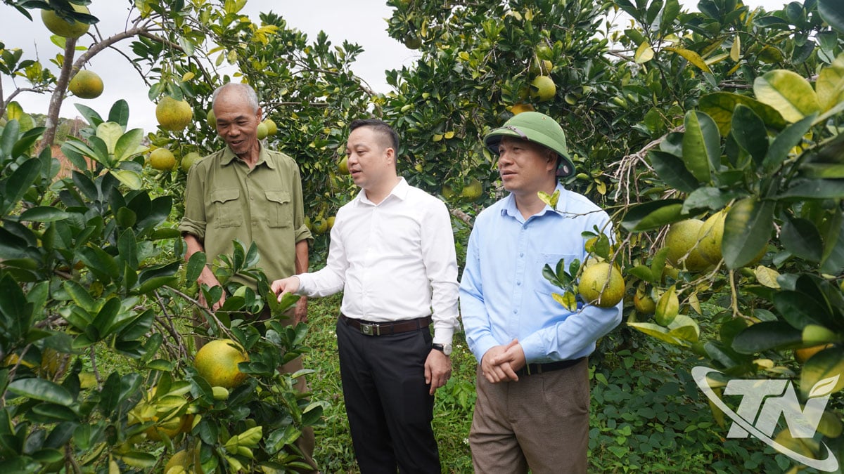 Les dirigeants de la commune de Xuan Duong ont visité le modèle économique des agriculteurs de la commune.
