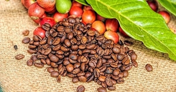 Giá cà phê thế giới bứt phá giữa áp lực thiếu hụt nguồn cung toàn cầu