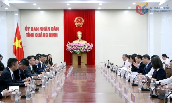 Tìm hiểu đầu tư vào Quảng Ninh