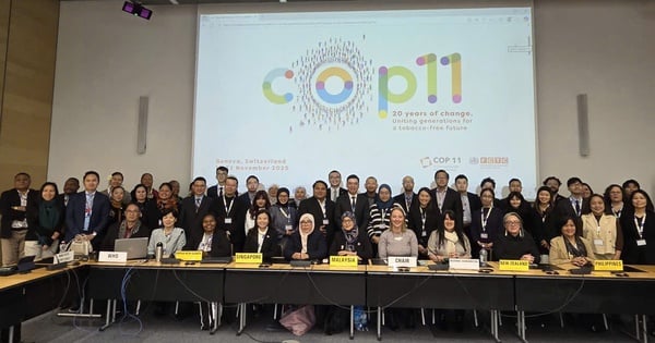 COP11 khẳng định ưu tiên bảo vệ giới trẻ trước 'nạn dịch' thuốc lá mới