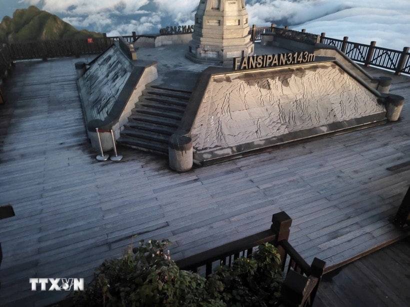 សាយសត្វគ្របដណ្តប់លើកម្រាលឈើនៃកំពូលភ្នំ Fansipan ជាមួយនឹងស្រទាប់ពណ៌សស្តើង ដែលអ្នកទេសចរតែងតែមើលពពក។ (រូបថត៖ VNA)