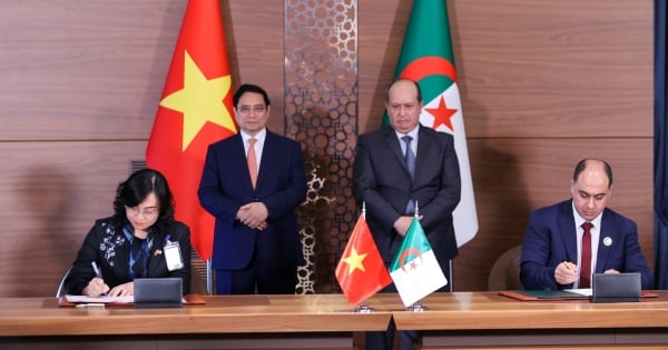 Hoạt động của Thứ trưởng Phan Thị Thắng trong chuyến thăm Algeria của Thủ tướng Phạm Minh Chính