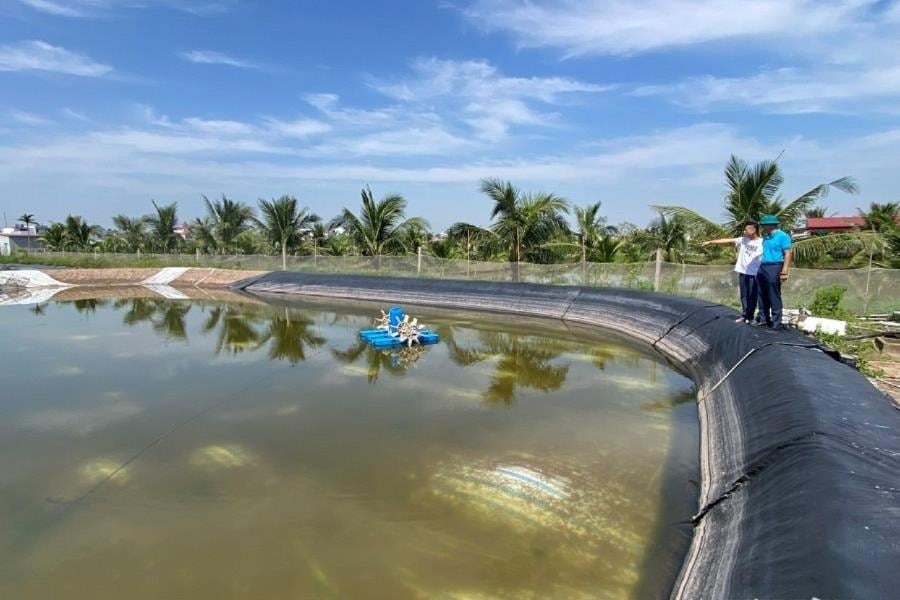 Lao đao nghề nuôi thủy sản ở Dương Kinh