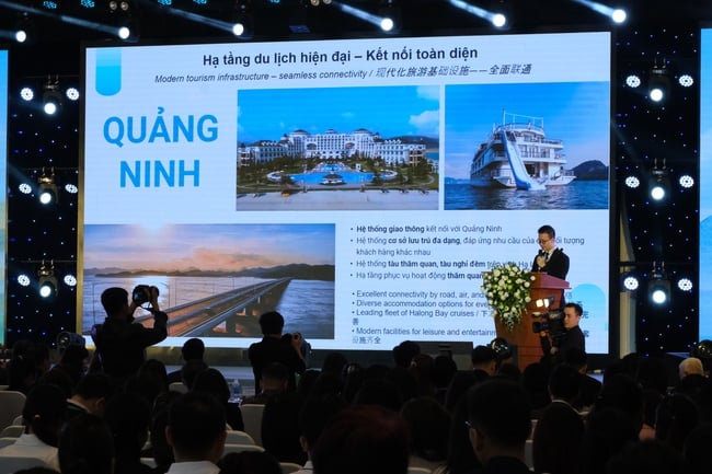Ngày Lữ hành Việt Nam 2025 (Vietnam Travel Day): Tạo không gian kết nối, hợp tác và quảng bá sản phẩm, dịch vụ du lịch - Ảnh 1.