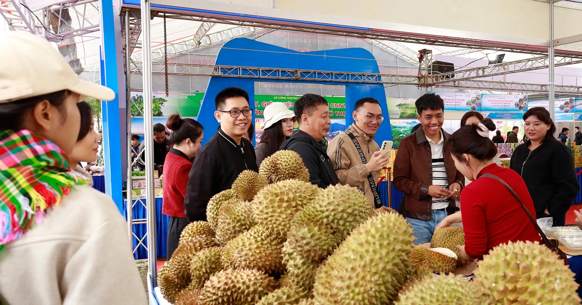 Sức hút nông sản Việt