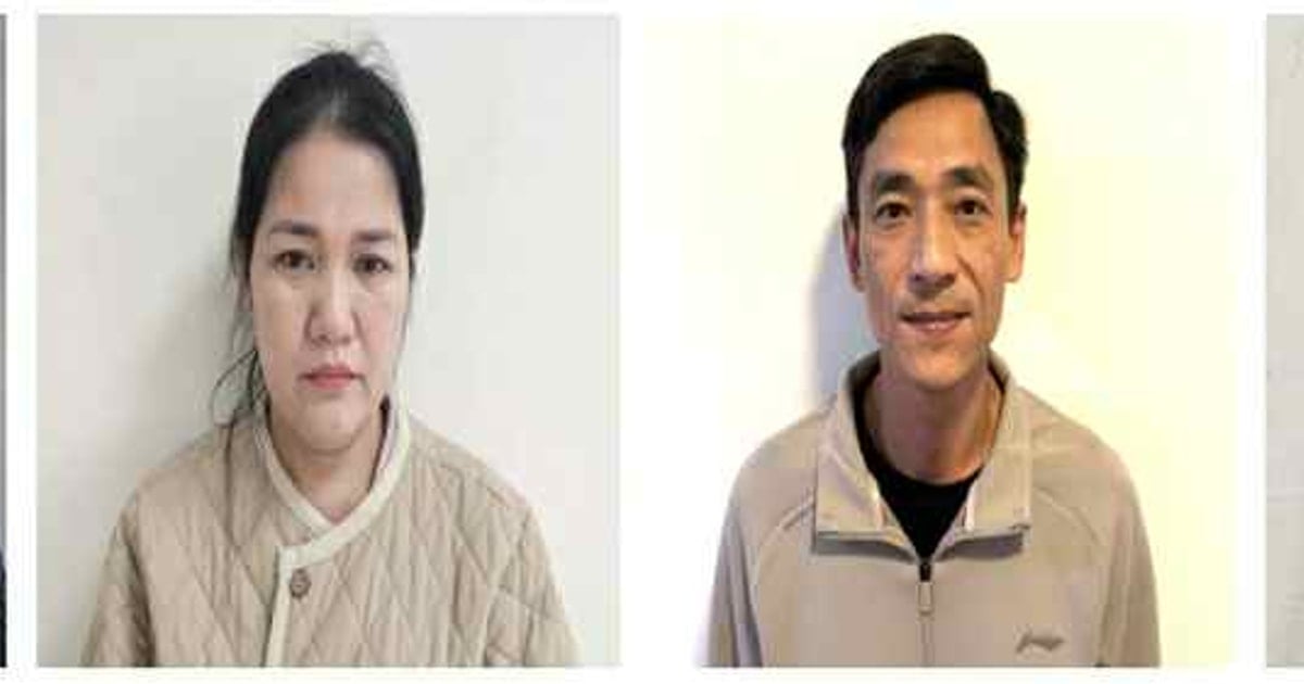 Vụ án sầu riêng: 17 lãnh đạo doanh nghiệp bị khởi tố