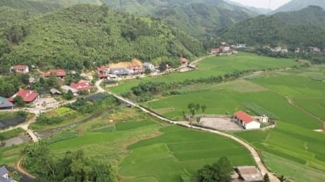 Quy Mông ứng phó thiên tai, bảo vệ mùa vàng