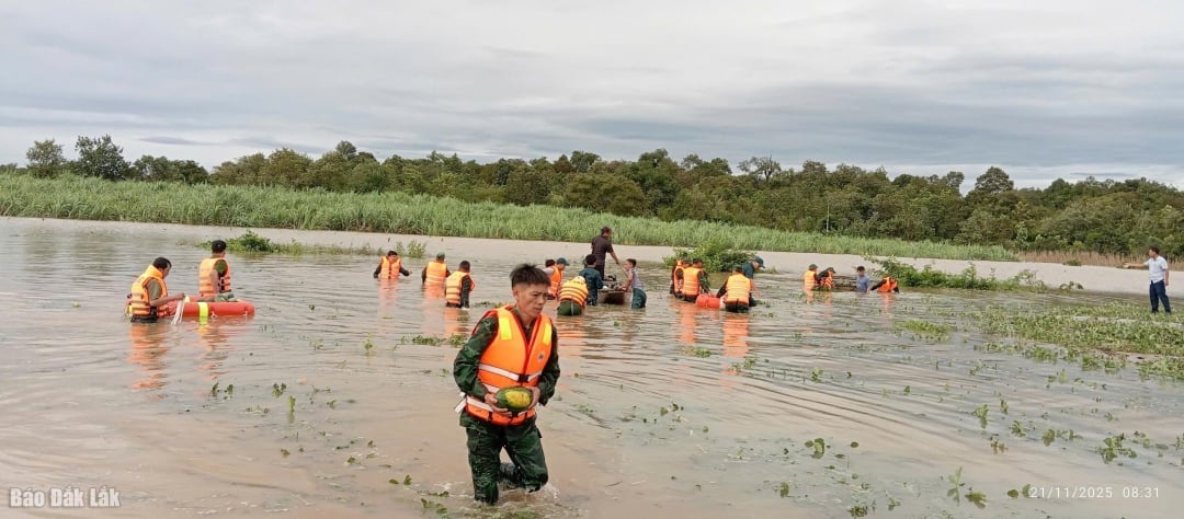 Pohraničníci spojili síly, aby pomohli lidem sklízet vodní melouny a uniknout tak povodním. Foto: Van Kieu