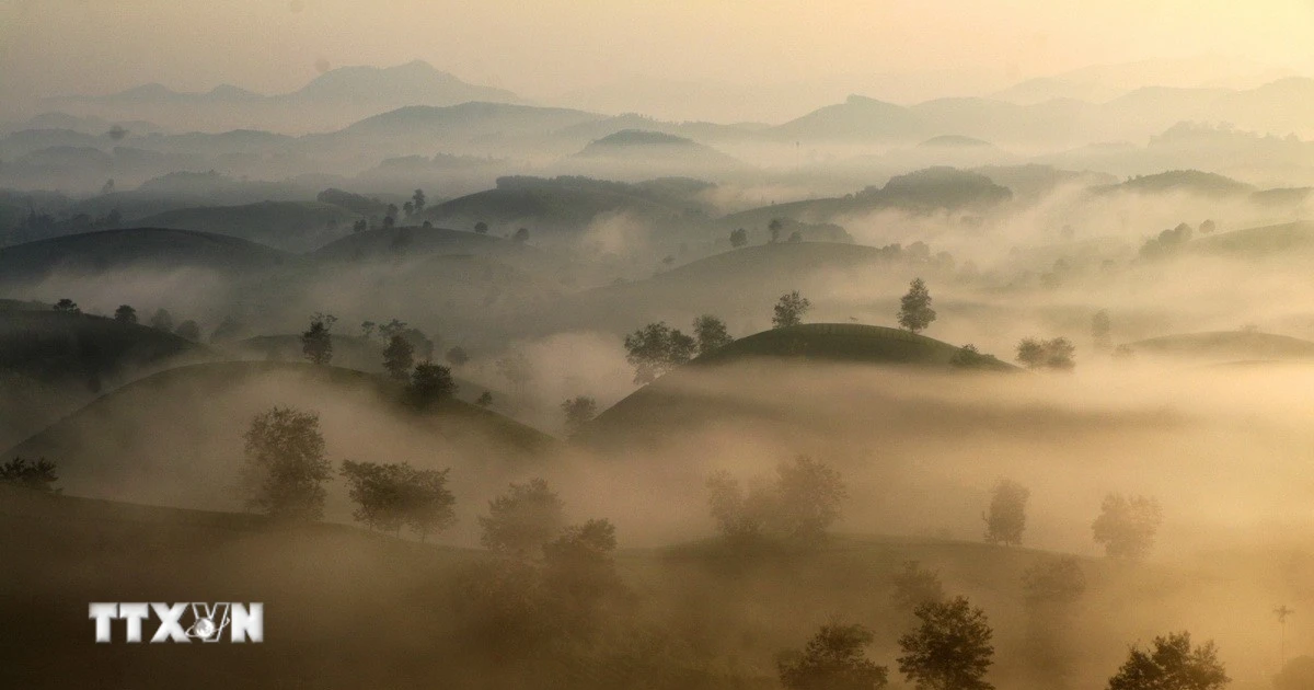Mê đắm cảnh sắc Long Cốc - một trong những đồi chè hình bát úp đẹp nhất Việt Nam