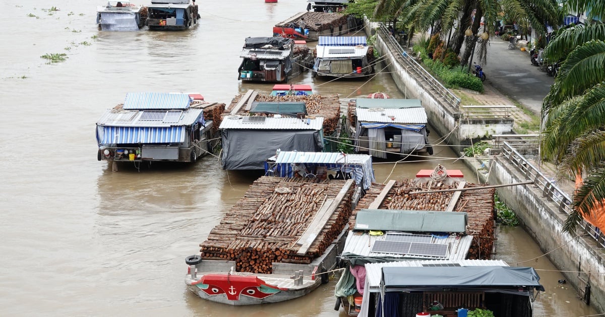 Độc đáo chợ nổi trên sông Cái Côn ở miền Tây: Không bán trái cây