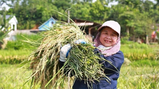 Nông nghiệp thông minh, phát thải thấp phù hợp với địa hình
