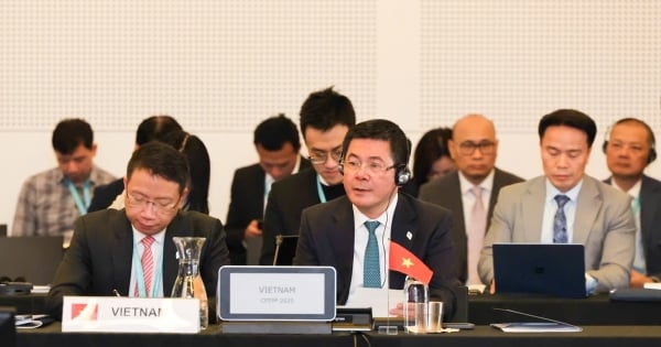 Phát biểu của Bộ trưởng Nguyễn Hồng Diên tại Phiên họp Hội đồng CPTPP