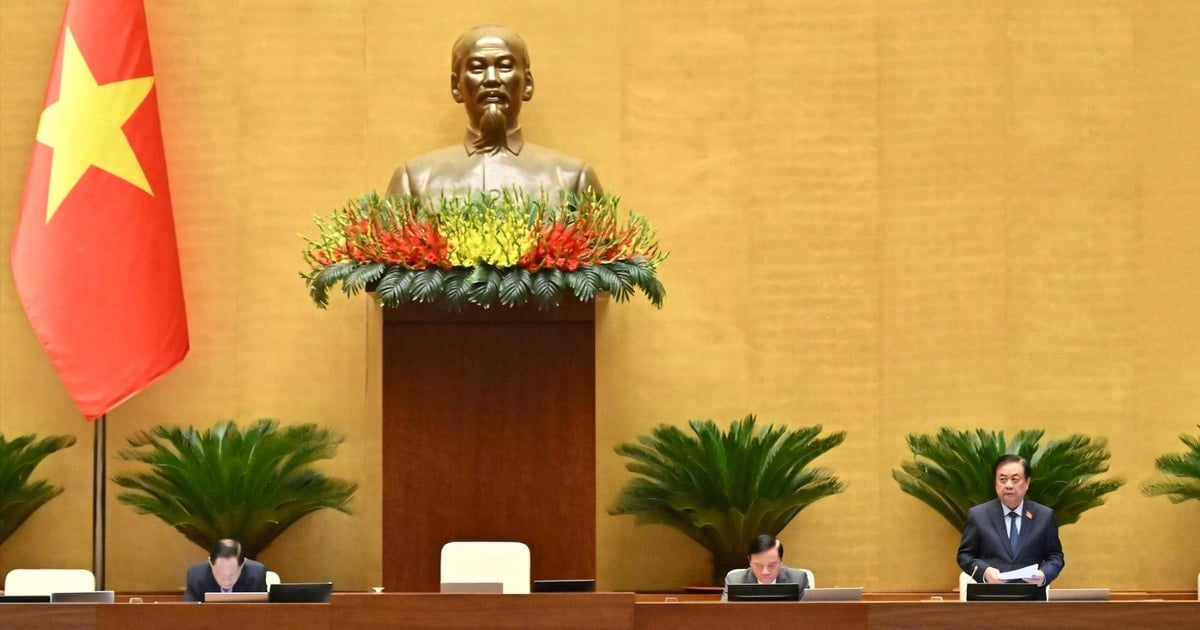 Rà soát, bảo đảm tính thống nhất, tính đặc thù riêng của chính sách ưu đãi