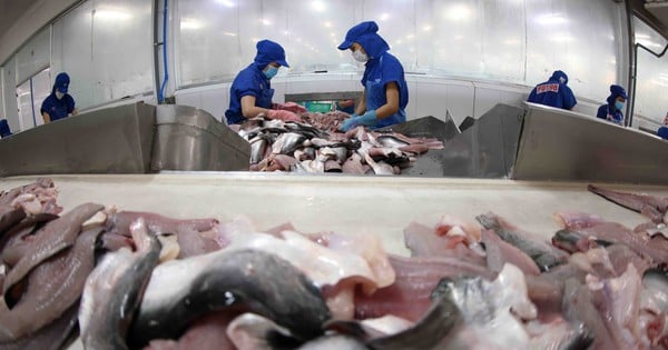 Tiêu chuẩn - Nâng cao năng suất, chất lượng cho ngành thủy sản