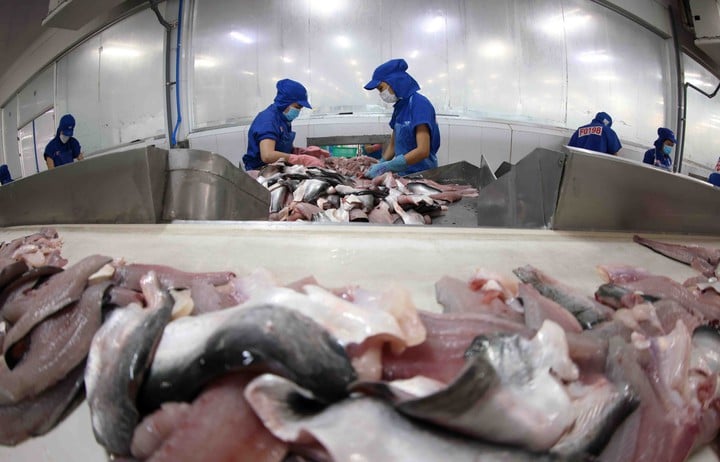 Tiêu chuẩn  - Nâng cao năng suất, chất lượng cho ngành thủy sản  - Ảnh 1.