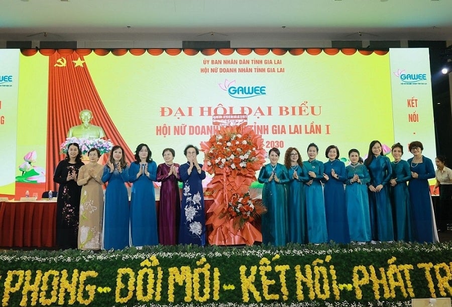 Bà Đồng Thị Ánh đảm nhiệm vai trò Chủ tịch Hội Nữ doanh nhân tỉnh Gia Lai