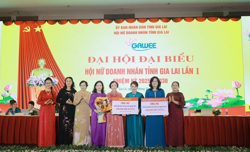 Ban Xã hội - Cộng đồng Hiệp hội Nữ doanh nhân Việt Nam và các nhà hảo tâm ủng hộ kinh phí hỗ trợ người dân Gia Lai khắc phục thiệt hại nặng nề do bão, lũ gây ra.