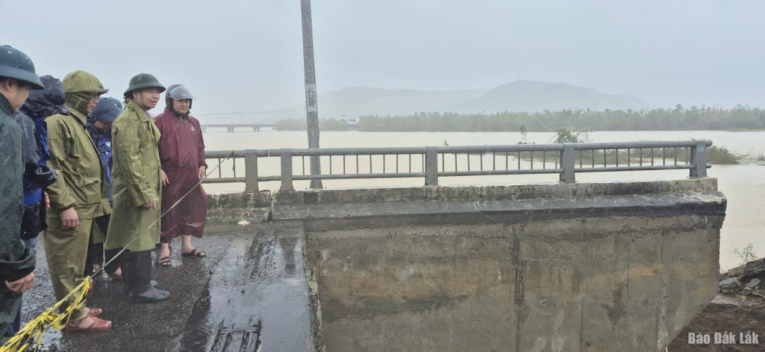 Leder av den provinsielle folkekomiteen, Ta Anh Tuan, inspiserte og ledet reparasjonsarbeidet ved Lo Gom-broen.