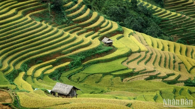 Xây dựng chiến lược tổng thể cho thương hiệu du lịch văn hóa dân tộc thiểu số