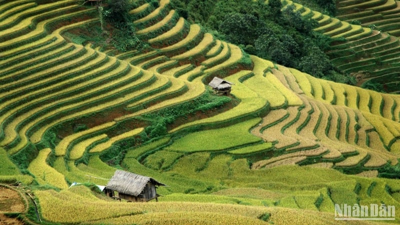 Xây dựng chiến lược tổng thể cho thương hiệu du lịch văn hóa dân tộc thiểu số. 