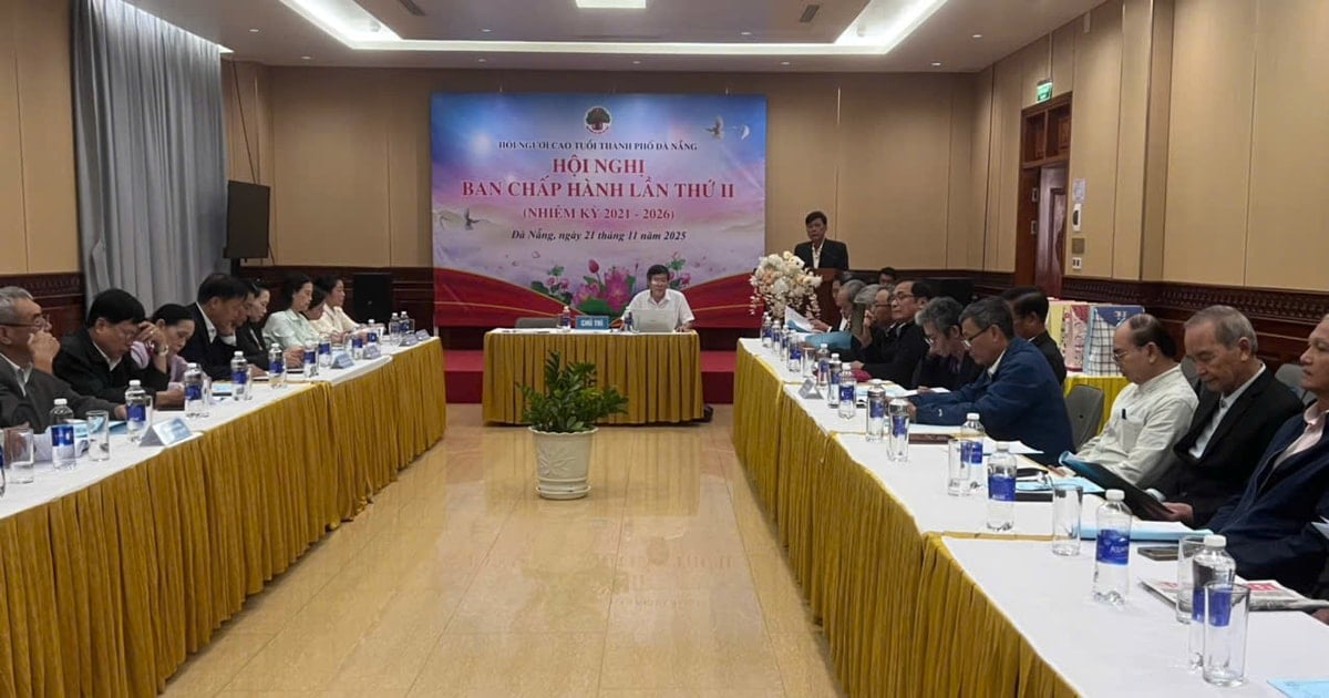 Triển khai kế hoạch tổ chức Đại hội Hội Người cao tuổi các cấp