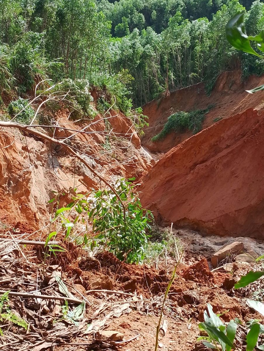 ຄຳບັນຍາຍຮູບ