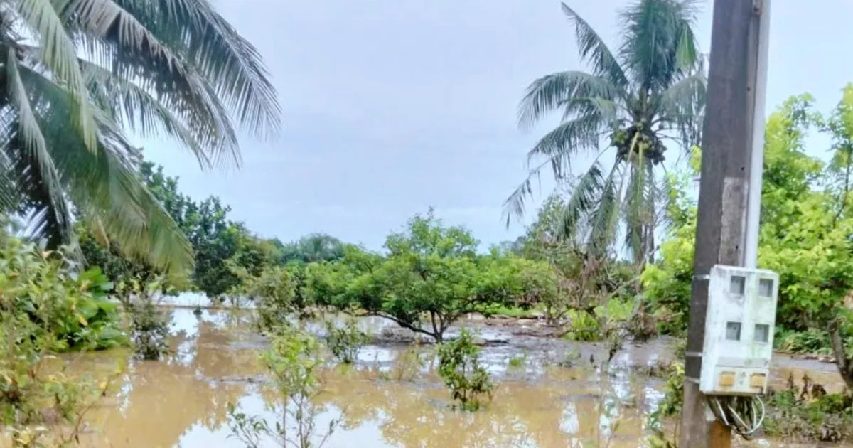 Mực nước sông Đồng Nai dâng cao, nhiều nơi có nguy cơ ngập lụt