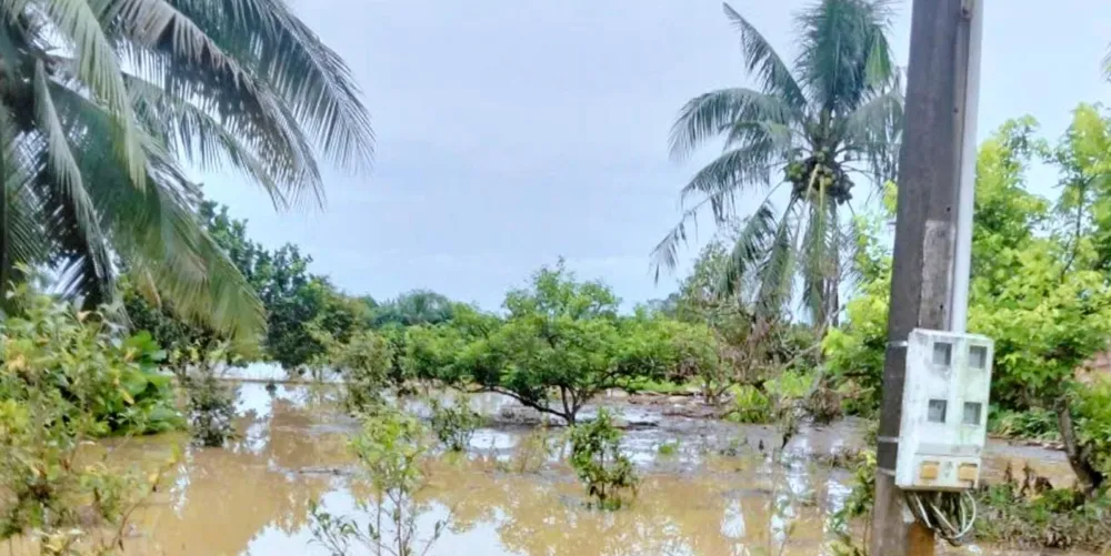 In veel gehuchten in de gemeente Dak Lua steeg het waterpeil ongeveer 1 meter boven de voet van de elektriciteitspaal. Foto: Dinh Quan Electricity Management Team