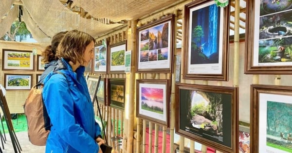 Doanh nghiệp Việt trước sức ép kép: Tăng năng suất hay tụt lại trong cuộc đua xanh?