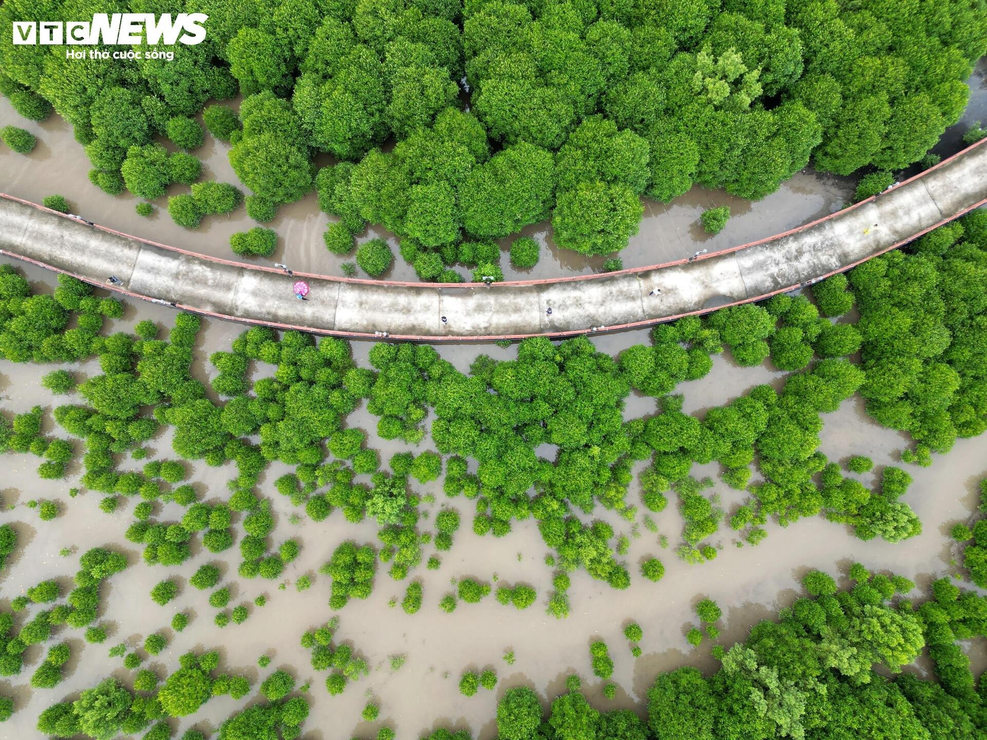 Beundra skönheten på platsen där 'landet vet hur man blomstrar, skogen vet hur man vandrar' i den sydligaste delen av Fäderneslandet - 13