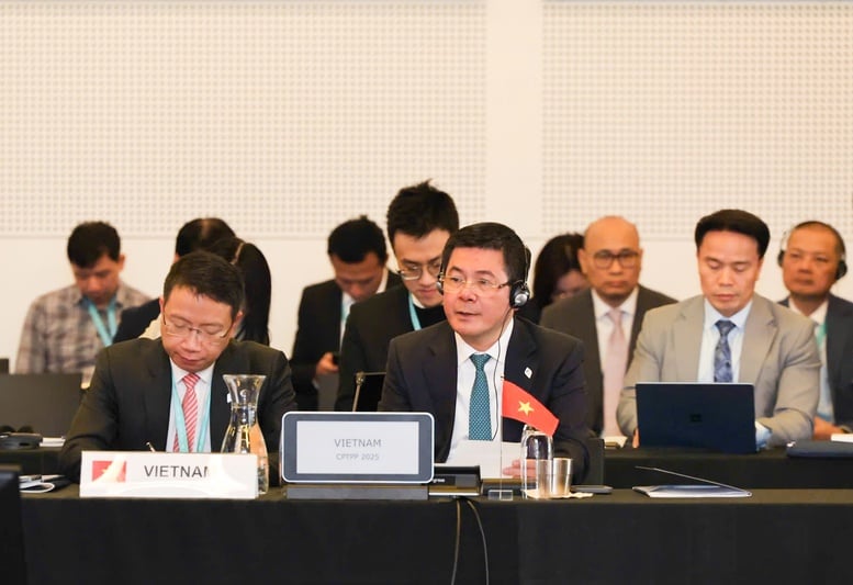 Việt Nam đề xuất thành lập Bộ phận hỗ trợ CPTPP- Ảnh 1.
