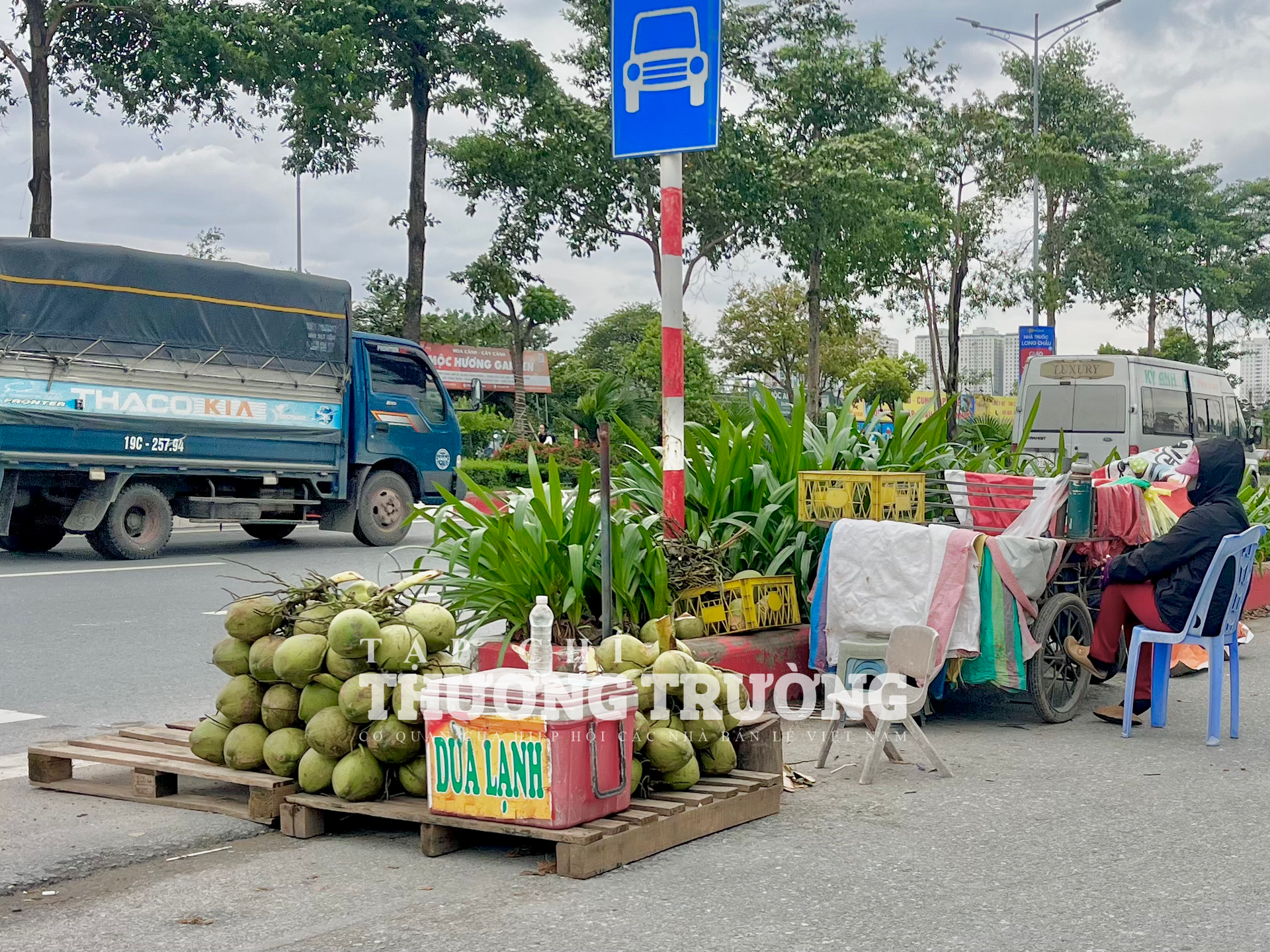 جوز الهند الرخيص يغمر هانوي، بسعر يبدأ من 7000 دونج فقط للثمرة
