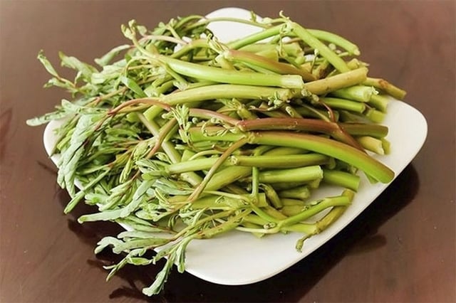 ເຄັດລັບການເລືອກເອົາຜັກກາດຮ້ອນປາທີ່ມີລົດຊາດຕາເວັນຕົກມາດຕະຖານ, ຊ່ວຍປັບສົມດຸນທາງດ້ານໂພຊະນາການ - ຮູບ 2. Bí quyết chọn rau ăn lẩu mắm chuẩn vị miền Tây, giúp cân bằng dinh dưỡng - Ảnh 2.