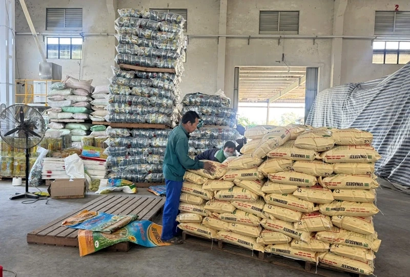 Сосредоточение внимания на поставках семян риса в рамках Программы поддержки фермеров в районах, пострадавших от штормов и наводнений.