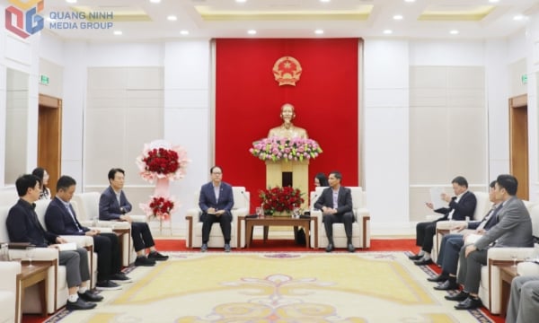 Phó Chủ tịch Thường trực UBND tỉnh làm việc với Kocham và các hãng hàng không Hàn Quốc