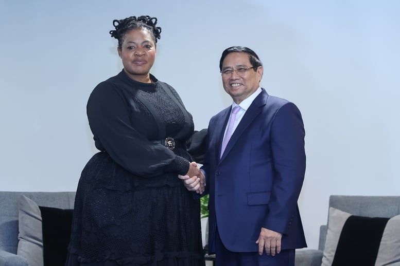 Thủ tướng kết nối hợp tác giữa hai tập đoàn dầu khí quốc gia của Việt Nam, Nam Phi- Ảnh 1.