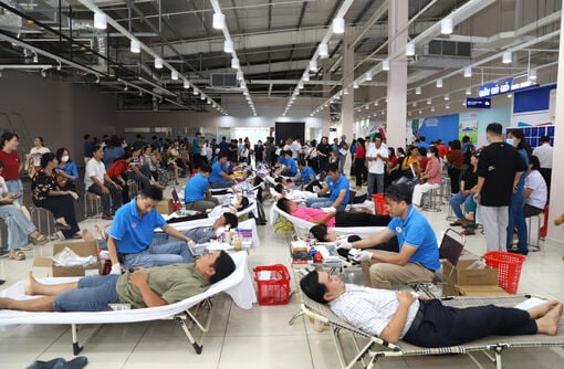 Hội Chữ thập đỏ tỉnh chung tay vì cộng đồng