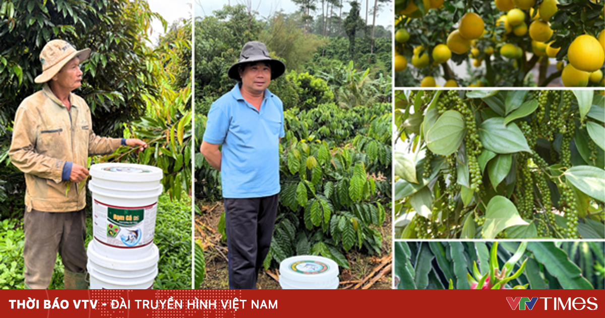 Đạm Cá DS - Hành trình trở thành thương hiệu đạm cá được nhiều bà con trên cả nước tin dùng