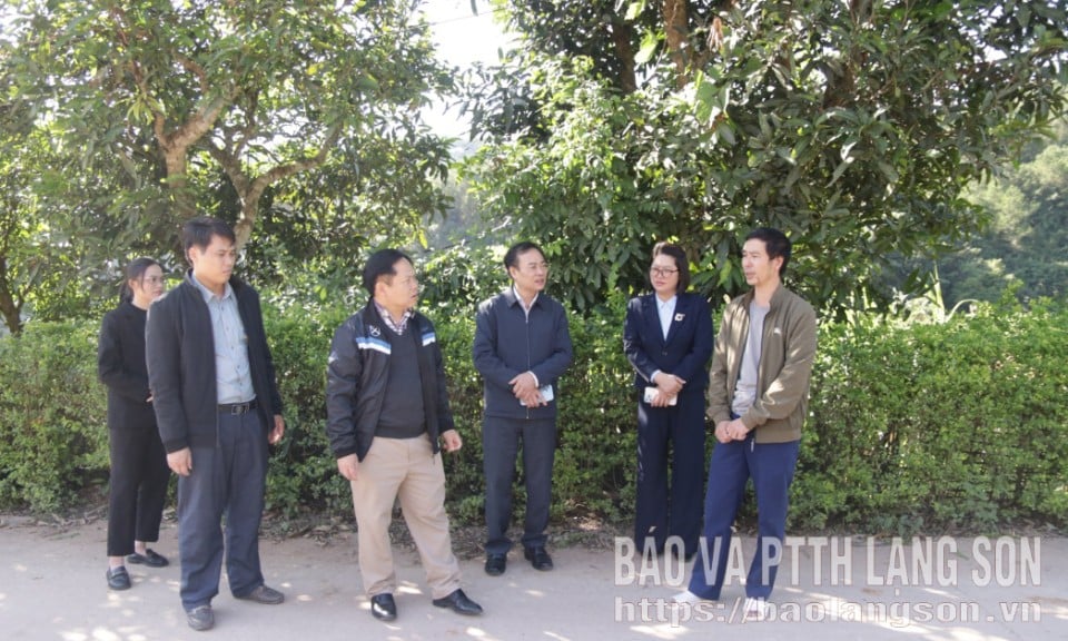 Kiểm tra chương trình giảm nghèo, xây dựng nông thôn mới tại xã Châu Sơn