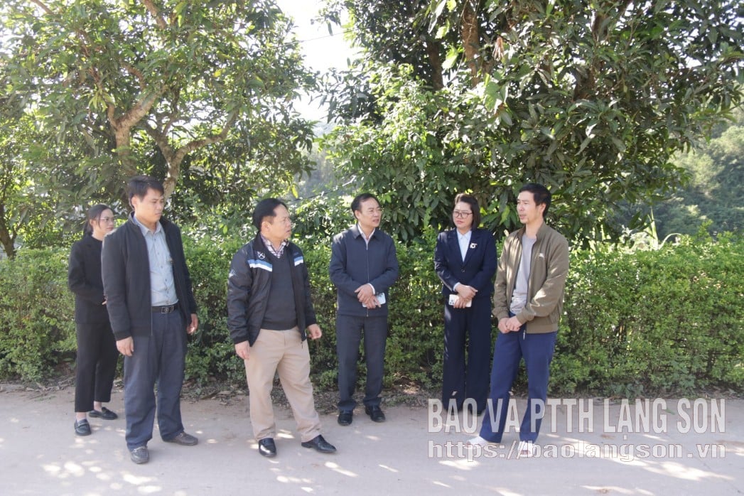 ورکنگ گروپ نے چاؤ سون کمیون میں ماڈل نئے دیہی رہائشی علاقے کا معائنہ کیا۔