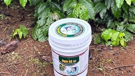 Điểm sáng trong nông nghiệp hữu cơ bền vững