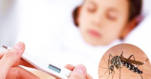 Mỗi năm cả nước ghi nhận khoảng 100.000 ca mắc sốt xuất huyết